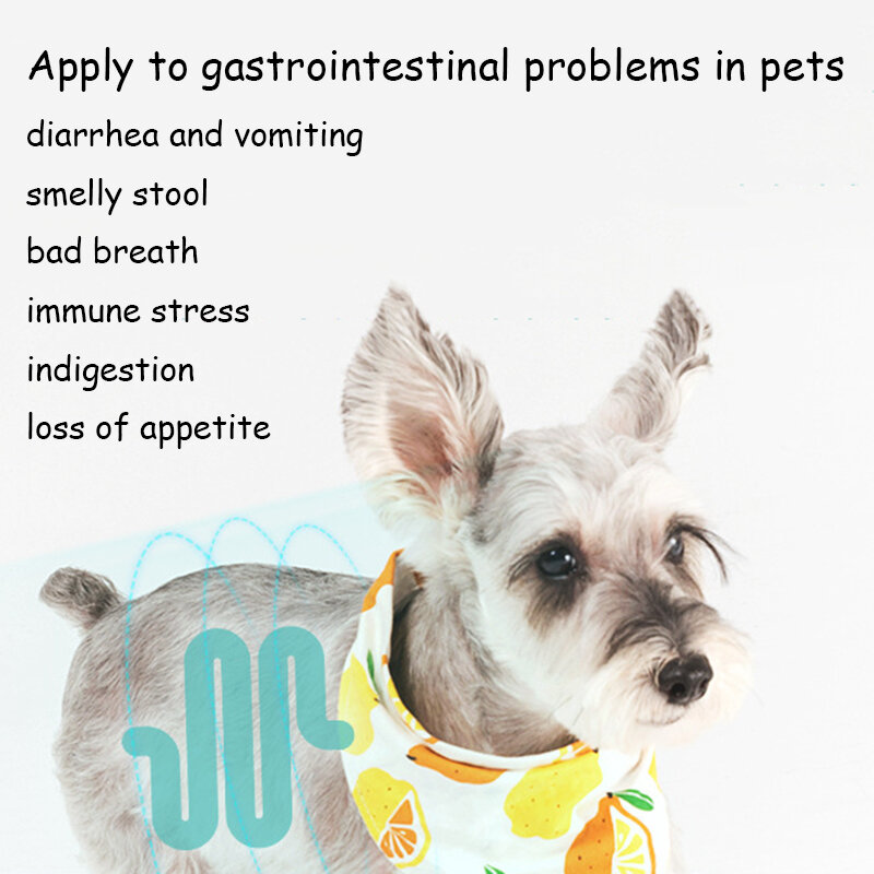 Probiotique pour animaux de compagnie pour chat et chien, supplément nutritionnel pour la santé intestinale, diarrhée et vomissements, améliore l'appétit, 10 pièces