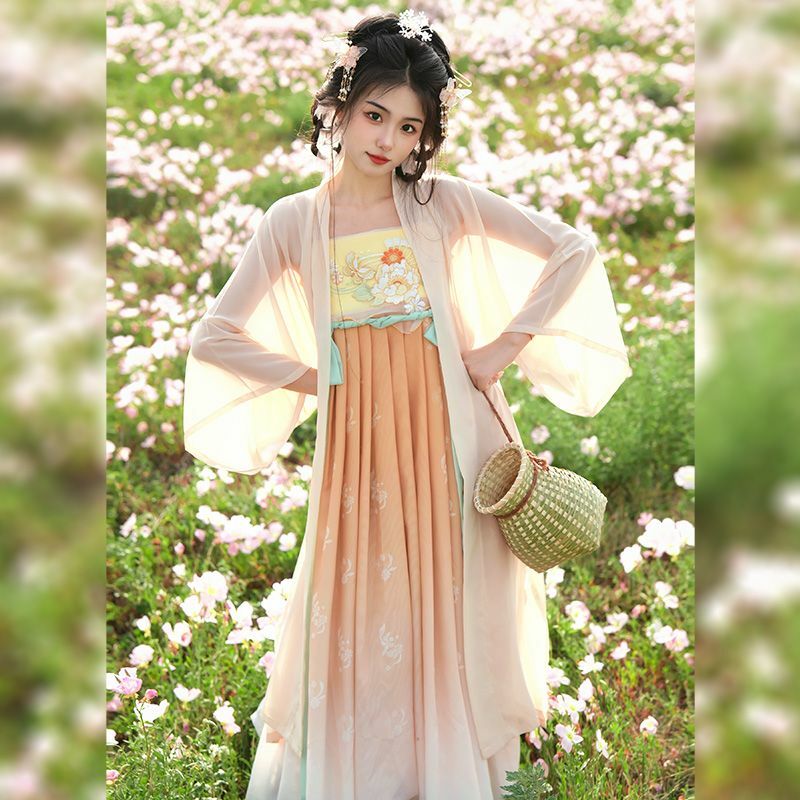 Chinese Traditional Hanfu Costume Women Ancient Dress Oriental Embroidery Princess Dress Elegance Tang Dynasty Dance Wear Dress
