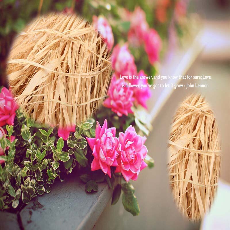 Najwyższej klasy środkowa część naturalna prawdziwa rafia słoma miłość trawa kwiat na wesele pudełko materiał do pakowania dekoracje dla domu