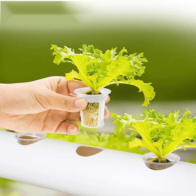 Система гидропоники для выращивания растений в помещении, стойка для посадки овощей в теплице, садовое отверстие, аэробное растение, установка для гидропоники