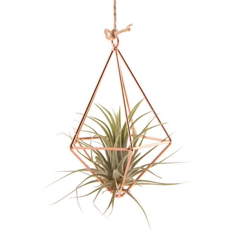Small Air Plant Stand Metal Plant Stand Geometric Glass Terrarium Propagation Station with Iron Stand for Home Office Decor