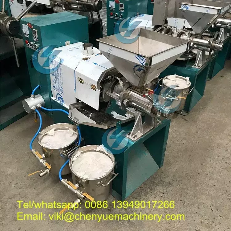 Sunflower Oil presser/ Cold Press Oil Extractor/Peanut Sunflower Oil Press Machine