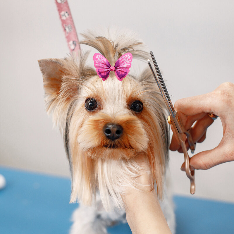 Lazos de goma para el pelo de perros y gatos, accesorios para el cabello de 50/100/200 piezas, con bandas de goma, para el cuidado de mascotas pequeñas