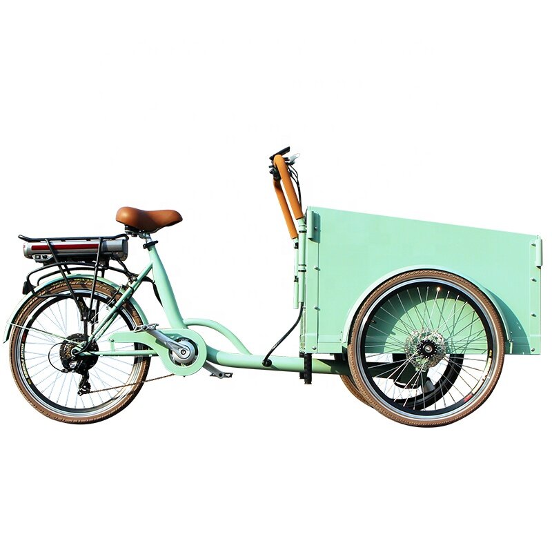 Triciclo de carga elétrica de alta qualidade para adultos, bicicleta familiar de 3 rodas, motor, 250W