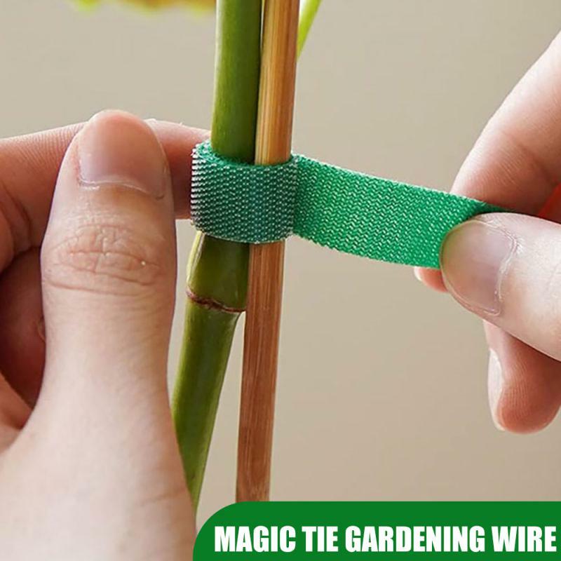 Многоразовые нейлоновые кабельные стяжки 15 мм, двусторонние ремни для управления садовыми растениями, садовые клейкие застежки для цветов