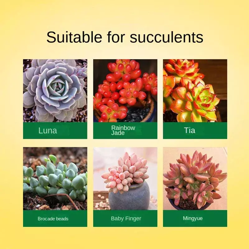 Solução Nutriente de Plantas Suculentas, Fertilizante Flor, Superior Bud, Old Pile, Bud Burst, 300ml