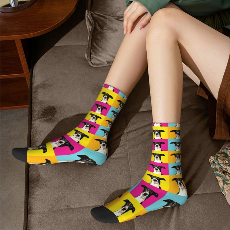 Colorful Pop Art Greyhound Socks Harajuku Sweat Absorbing Stockings All Season Long Socks Accessories for Unisex Gifts