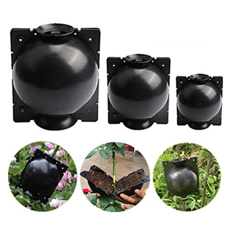 6PCS Botany Plant Rooting Root Device Pressure Propagation Ball Box Grafting Garden Planting Supplies Accessories