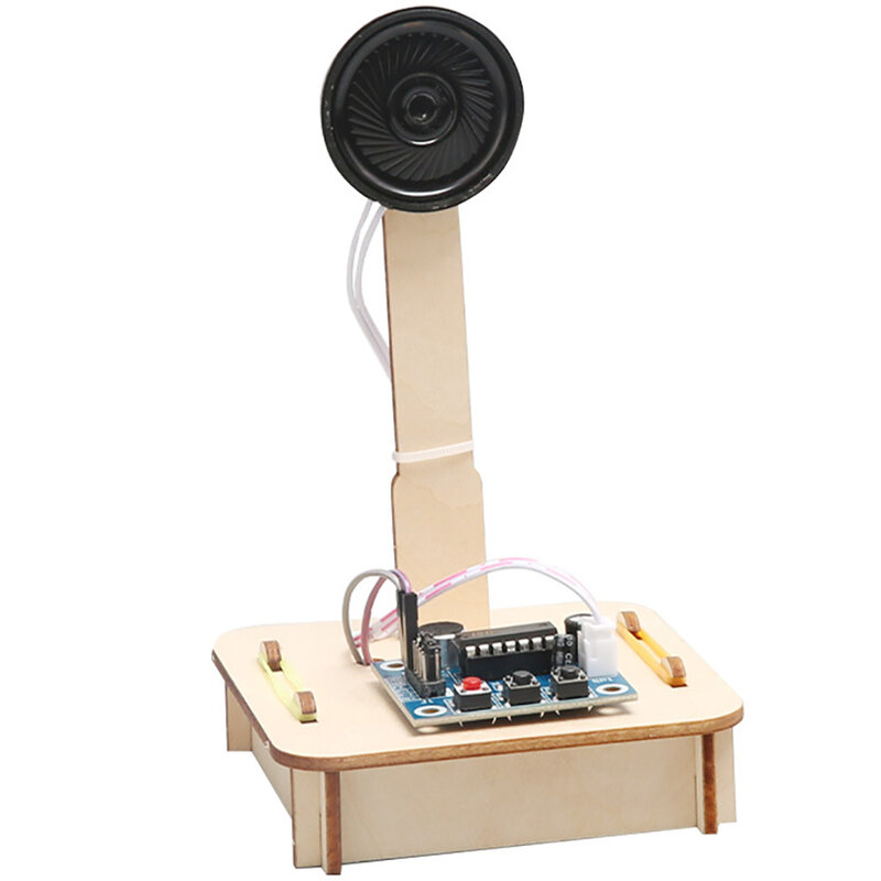 Kostenloser Versand Holz DIY Recorder Montage Kid Studenten Wissenschaft Bildung Wissenschaftliche Ausbildung Experimentelle Ausrüstung Dampf Spielzeug