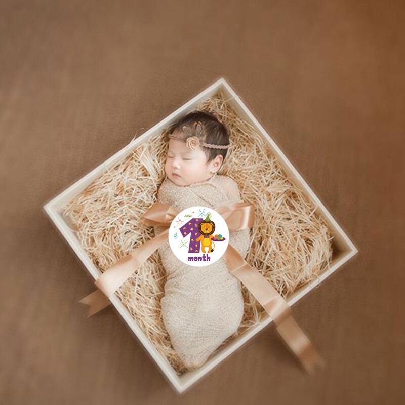 Animal Cartão Comemorativo Desenho Animado Autocolante Autocolante Mensal para Bebés Fotografia Marco Memorial Mês Número