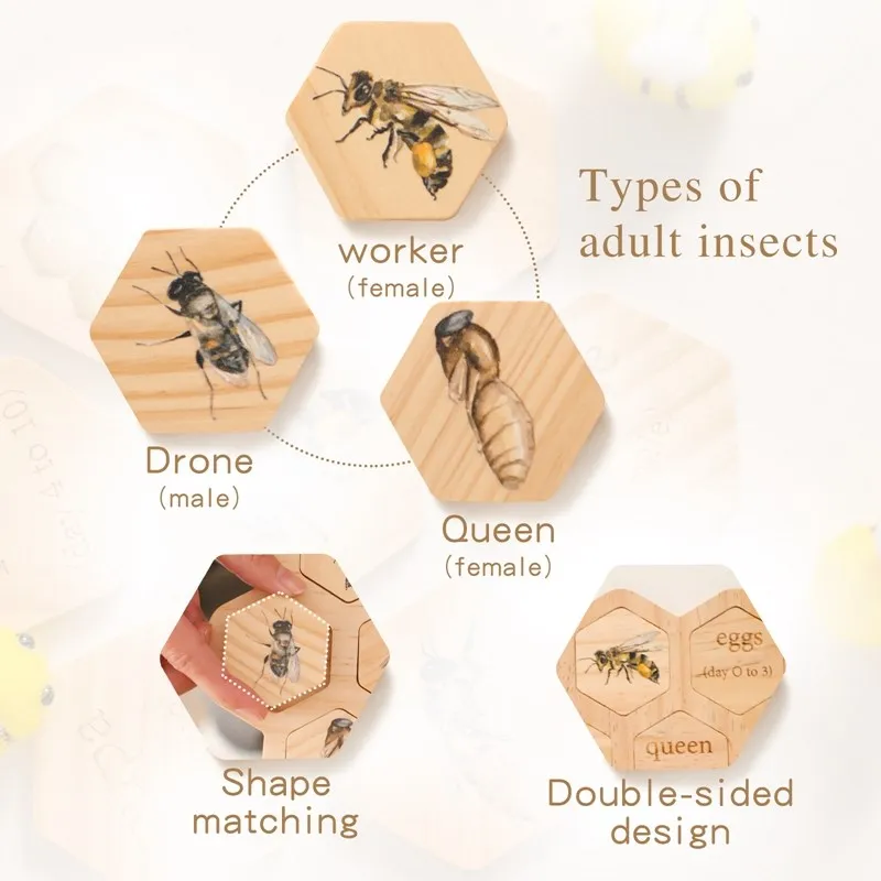Dziecko nowy cykl życia zwierząt tablica Montessori nauczanie zabawek dla dzieci pszczoła cykl wzrostu zwierząt zestaw modeli do składania przedszkole zabawki poznawcze