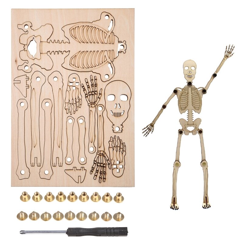 DIY Model ludzkiego szkieletu anatomia Puzzle parowe Rozwojowa struktura zabawek Rozpoznawanie Nauczanie Montessori Zabawka dla