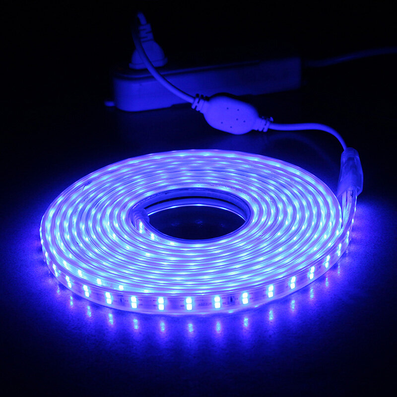 Tira de luces LED SMD2835, cinta impermeable de 220V, 120 LED/M, lámpara de jardín flexible, IP67, 5m, 10m, 100m