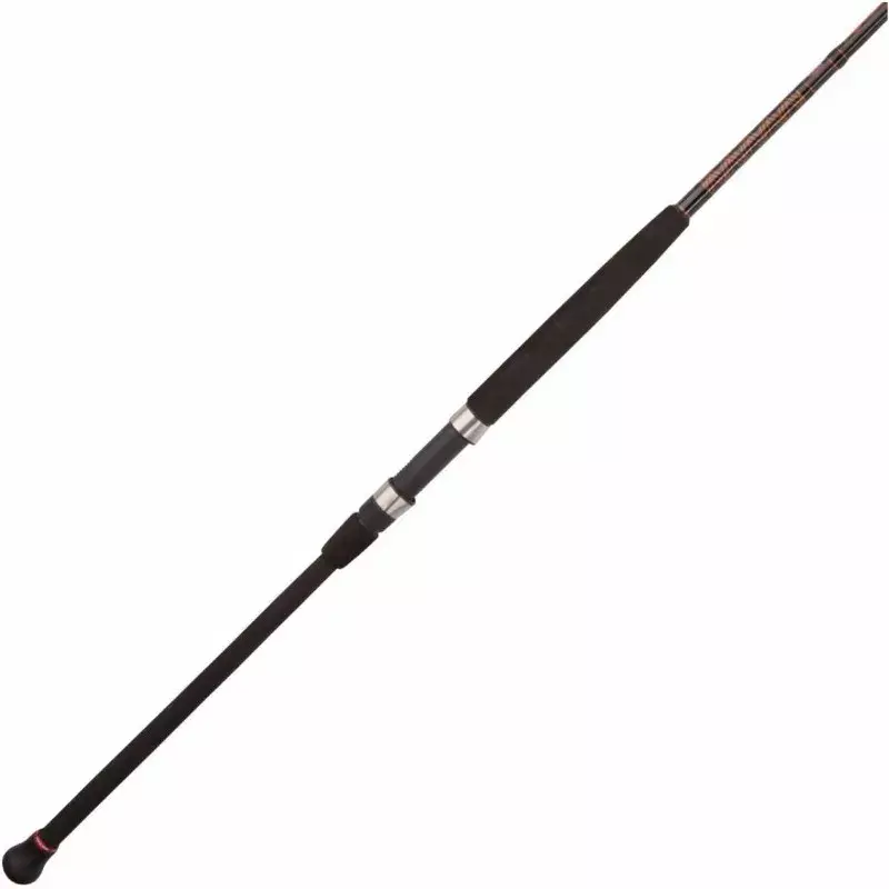 PENN Squadron III Surf Spinning Fishing, nouveauté
