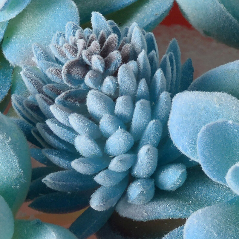 Plantas suculentas simuladas flocadas azules, adornos de decoración de jardín, arreglo de plantas artificiales, bonsái en maceta, planta falsa
