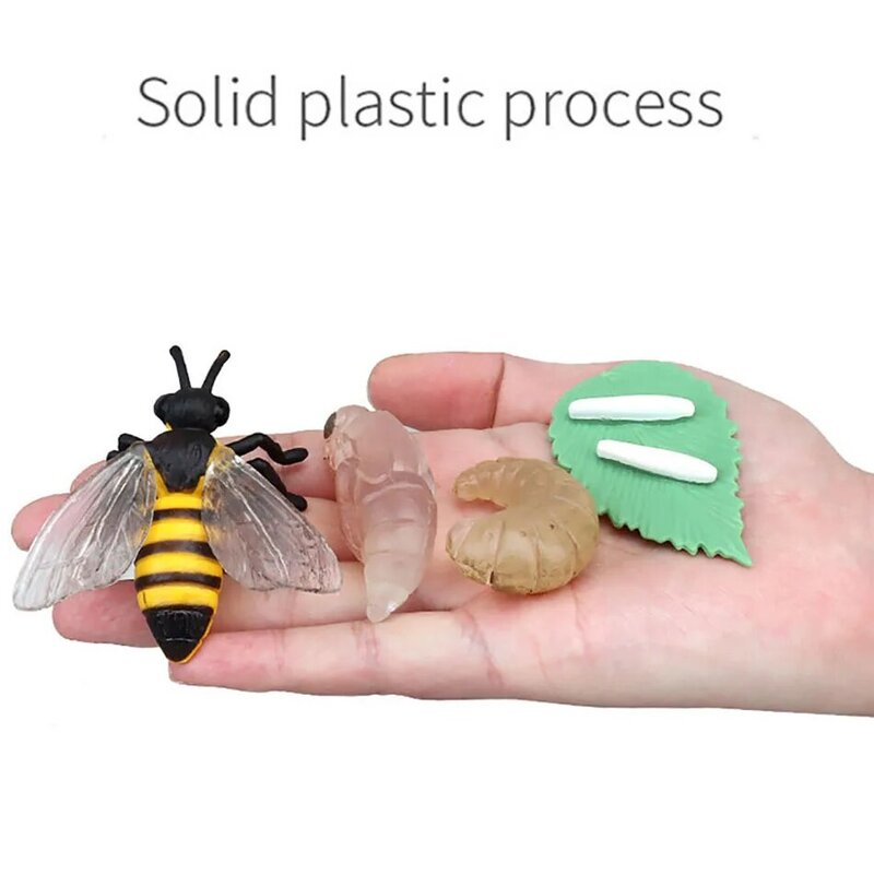 Hewan dan tanaman simulasi untuk pendidikan anak dini Model mainan anak-anak Tujuh Bintang kumbang kupu-kupu kura-kura