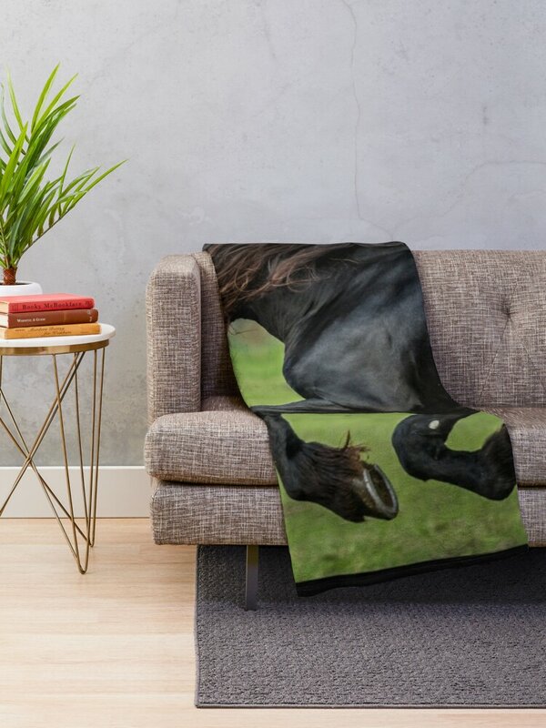 A experiência friesiana-bela beleza preta cavalos friesianos lance cobertor cobertores bonitos sofá colcha