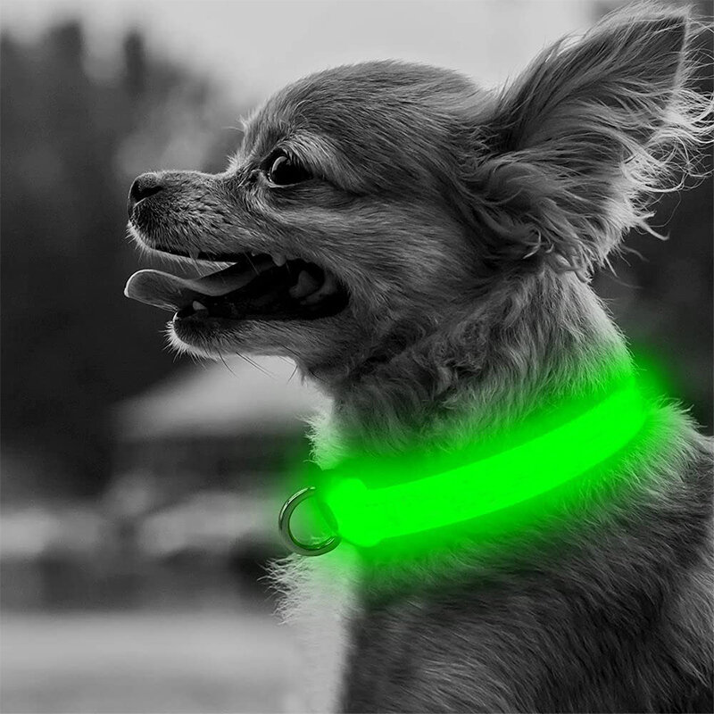 Collar LED ajustable para perro, Collar luminoso de seguridad para mascotas, antipérdida, brillante, para perros pequeños, medianos y grandes