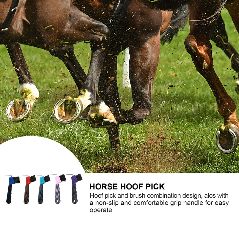 Alat penghapus rambut, sikat kuda Hoof Picker kuda alat perawatan kuda sikat perawatan warna acak kuda