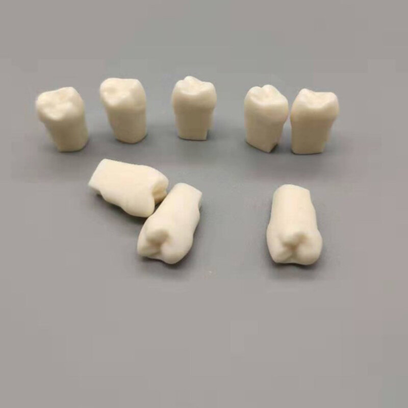 Modelo de dentes dentários para dentista, preparação técnica, dente removível, modelos de treinamento odontológico, 1 pc, 5 pcs, 10pcs