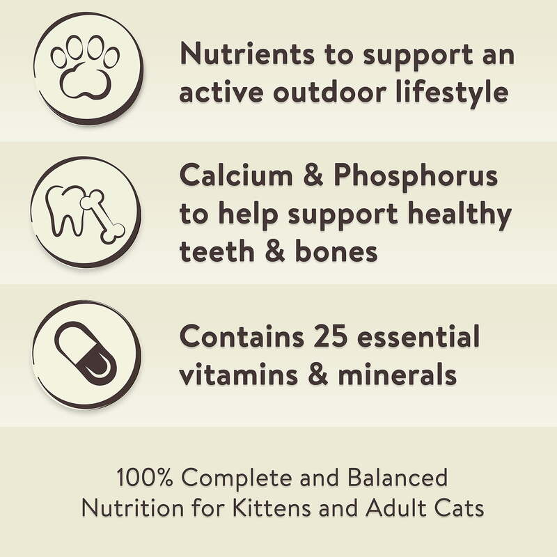 Especial Kitty fórmula al aire libre comida seca para gatos, 44 lb