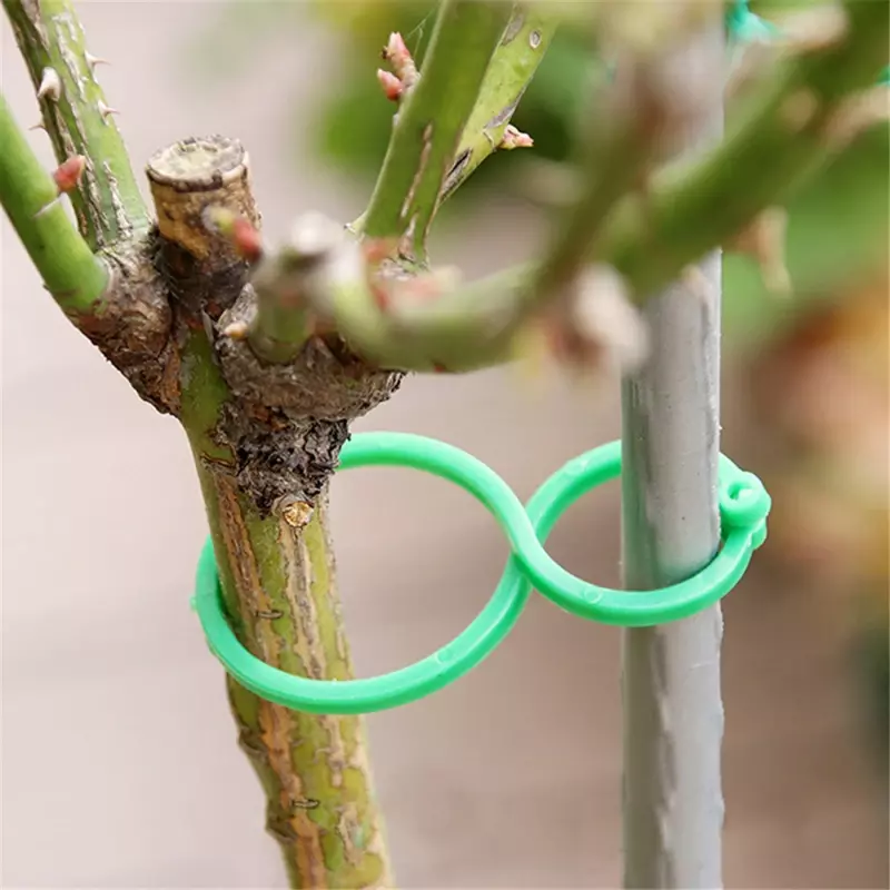 20/100pcs Garden Plant Fruit Clip Plastic Binding Vine Binding Branch Clip Support Tomato Fixing Clip Plant Holder Trellis Clips