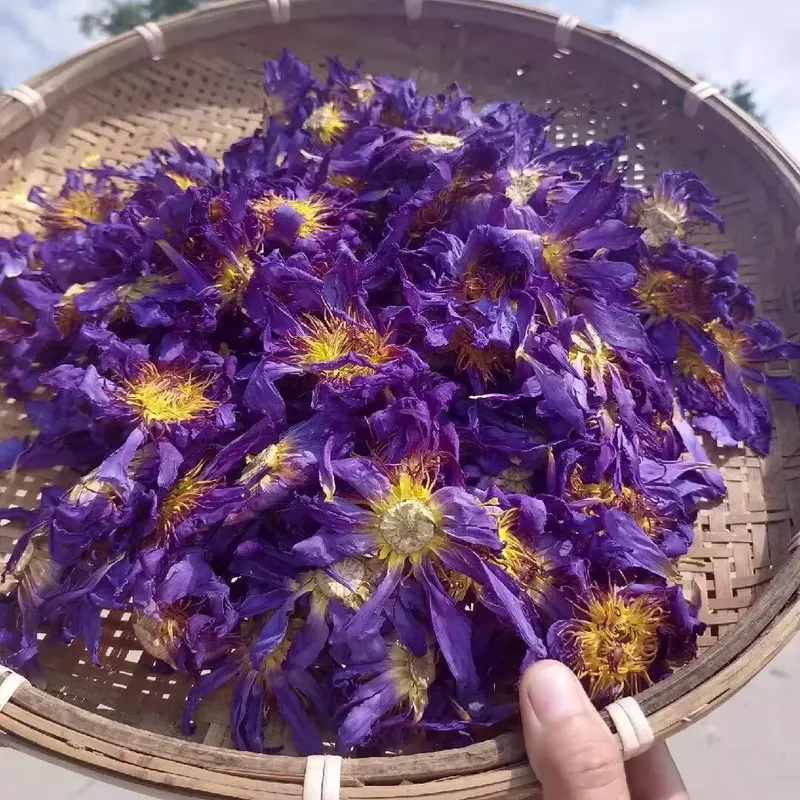 Großhandel natürliche getrocknete Lotusblume getrocknete Blumen Milch getränk Dessert kuchen essbare Back zutaten Eis Werkzeuge