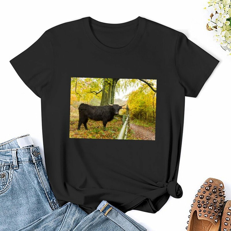 Girls 'Highland Cow Print T-shirt, tops plus size, roupas para o outono, camisa animal print para meninas