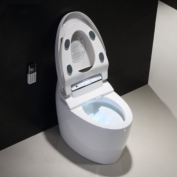 WC cerâmico Commodo inteligente, Auto função limpa nivelada, Padrão americano, 1 Pc