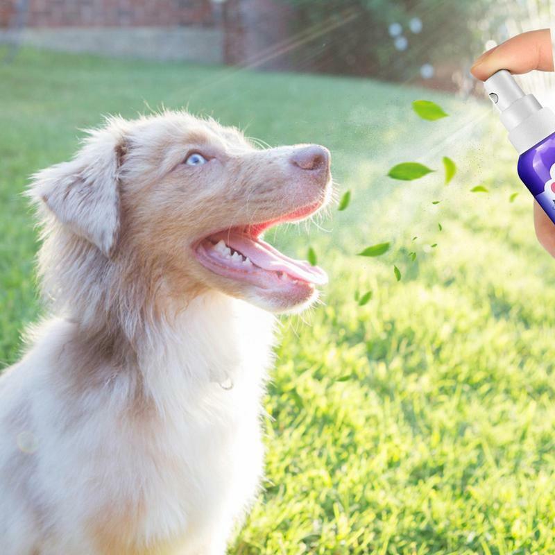 Spray per l'alito per cani alito fresco Spray dentale per cani deodorante per l'alito del cane e pulizia dei denti del cane per la cura dentale del cane 30ml cane