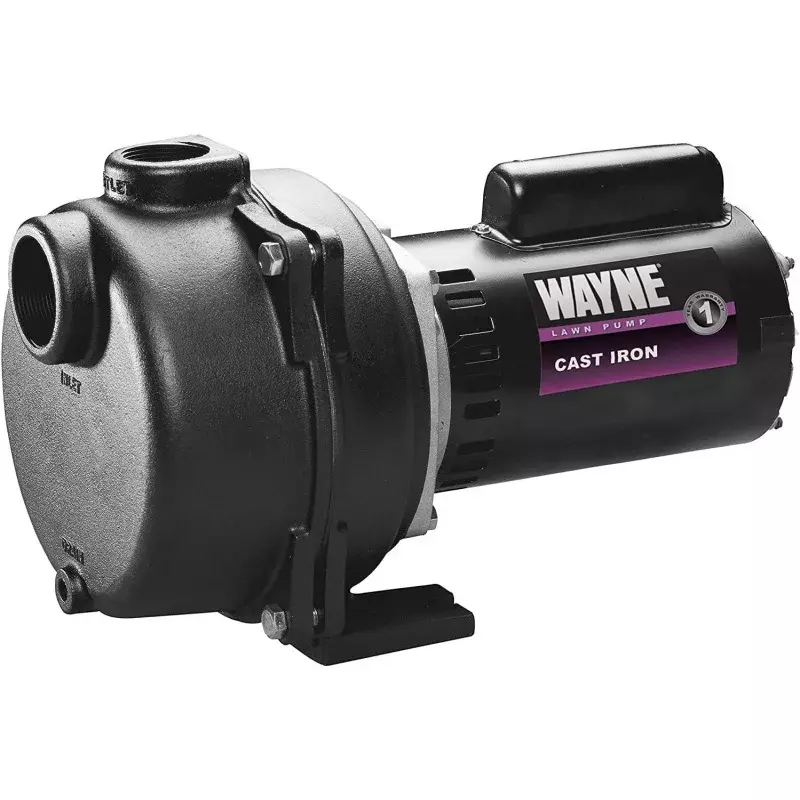 Wayne Horsepower, Green WLS200 2 HP Cast Iron High Volume Lawn Sprinkling Pump