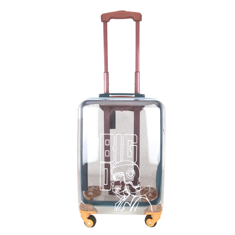Maleta transparente de 20 pulgadas, equipaje de embarque ligero pequeño, tamaño de cabina, caja de carro