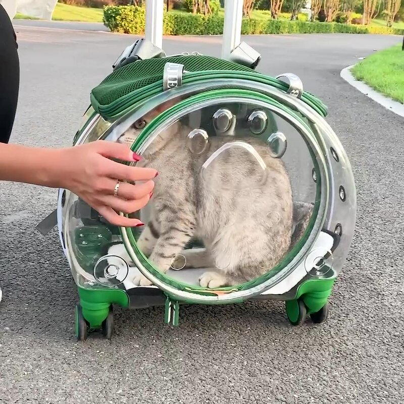 Портативный многофункциональный прозрачный рюкзак для домашних животных