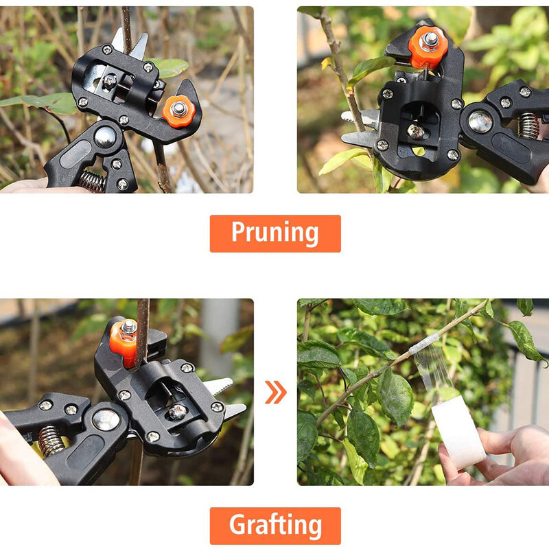 Professional Grafting Pruner Scissor, Branch Cutter, Secateur Pruning, Plant, Fruit Tree, Chopper, Vaccination Cut, Garden Tool