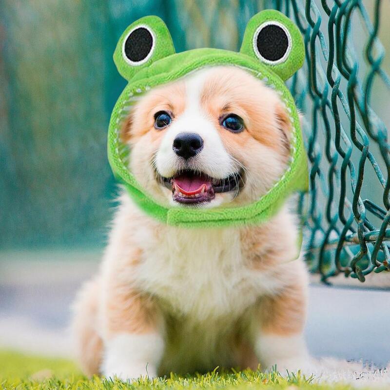 Regulowana kapelusz dla psa pluszowa żaba zestaw nakryć głowy dla zwierząt na imprezy Cosplay nowatorska czapka taśma mocująca moda dla psów na wakacje