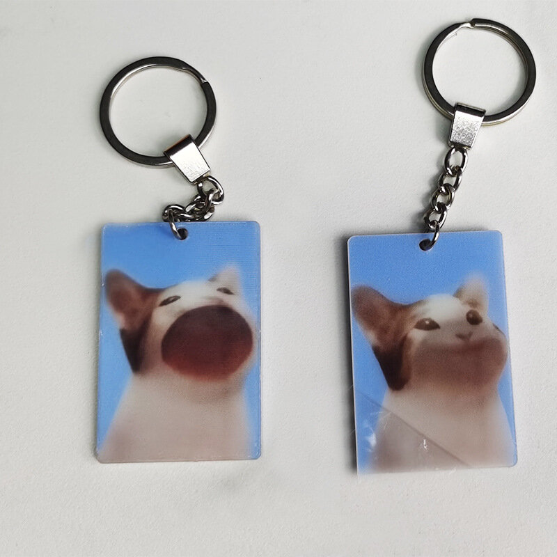 Personalizado gato dos desenhos animados acrílico chaveiro, Personalizar anime gato claro, Porta-chaves de boca aberta pingente de sacos de presente