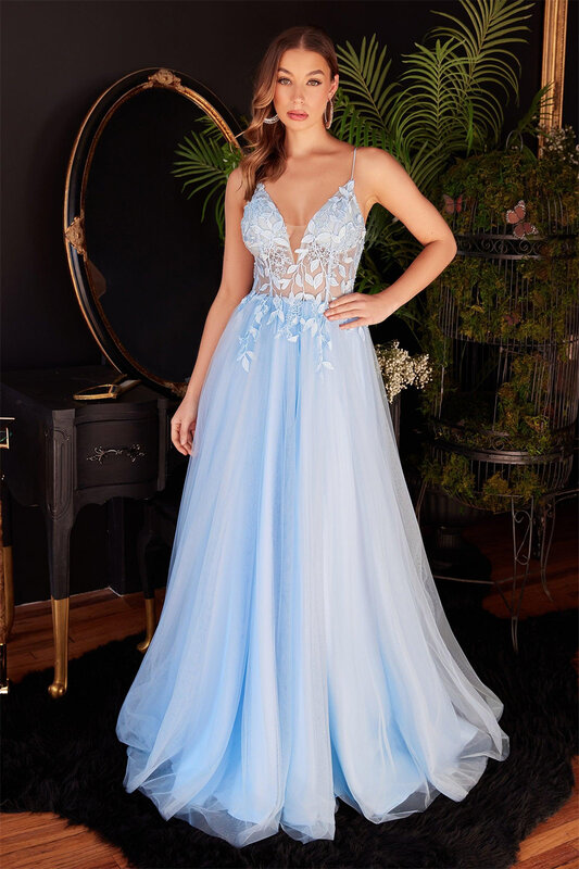 Spaghetti Strap V-Neck Appliques Tulle Evening Dress Backless Sleeveless Floor-Length Puffy Illusion Formal Party Ball Gown