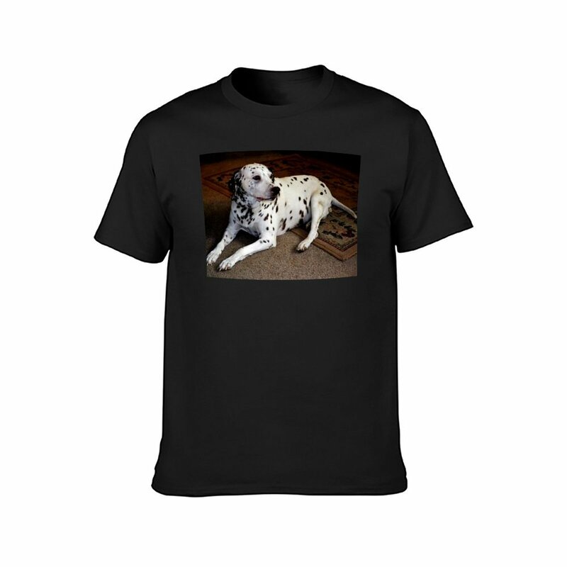 Camiseta con estampado de animales para hombre, ropa personalizada, color marrón