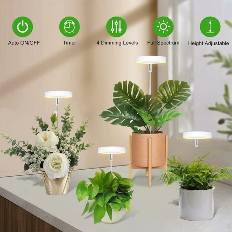 USB LED Phyto Grow Lamp para Plantas, Crescimento de plantas internas, Iluminação Phytolamp, 5V