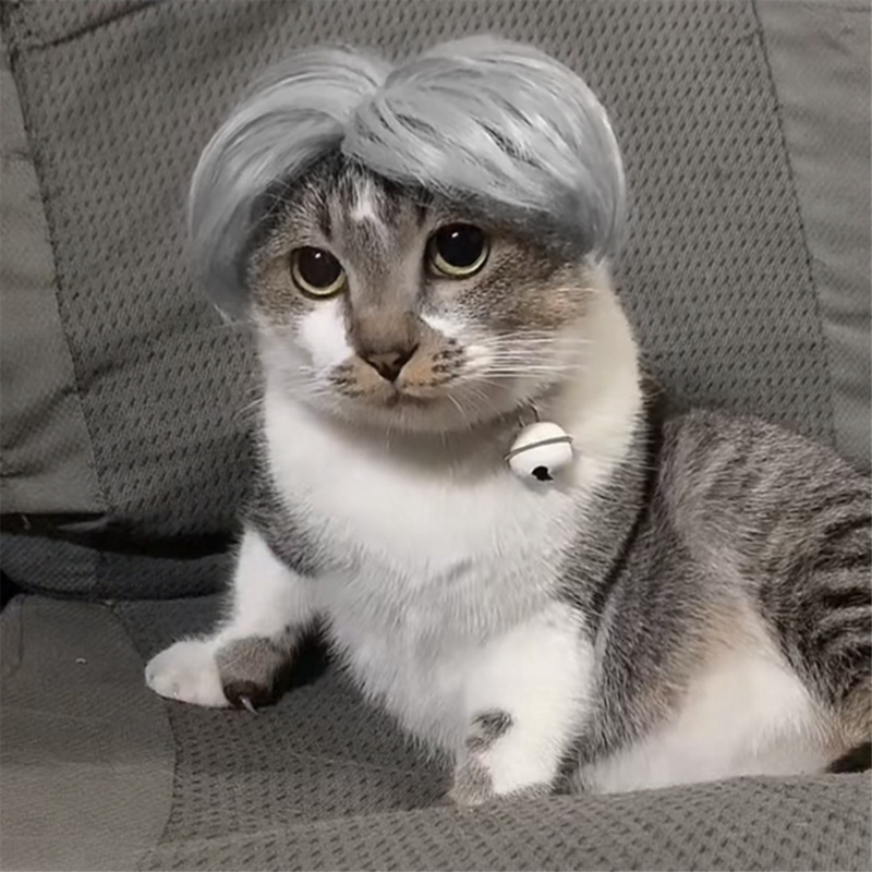 Properti Cosplay wig hewan peliharaan topi rambut rias silang kucing anjing lucu aksesori kepala untuk perlengkapan hewan peliharaan Halloween