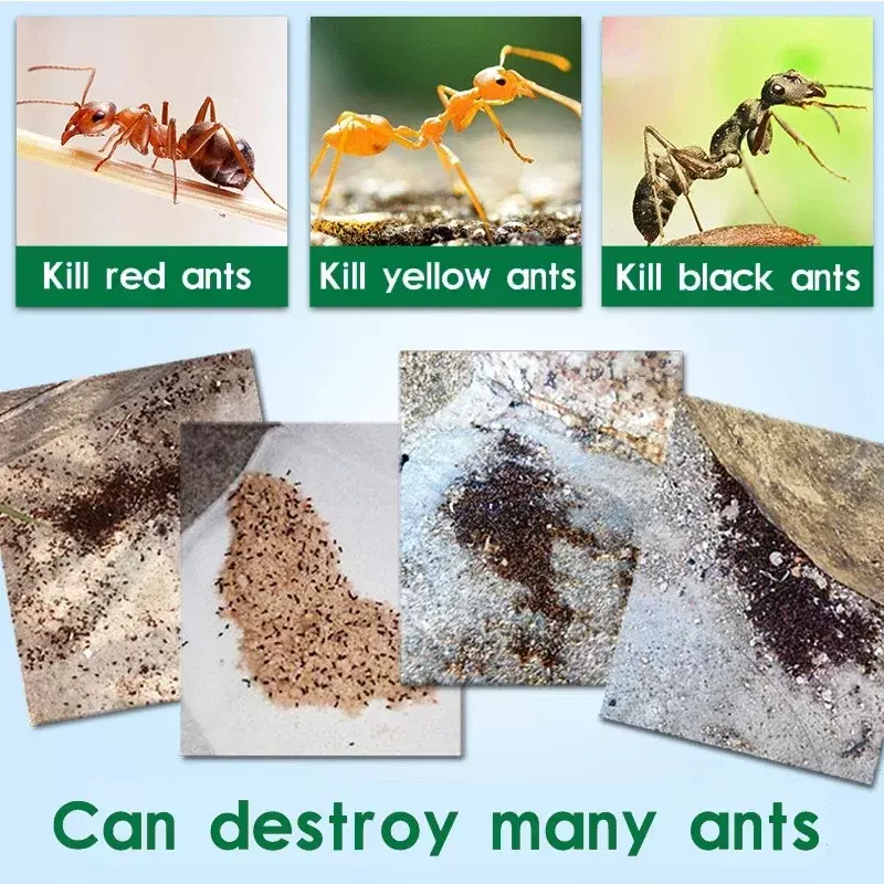 Cebo de hormigas transparente fuerte en polvo, termitas amarillas, negras y blancas, efectos de medicamentos para matar hormigas, 20 piezas