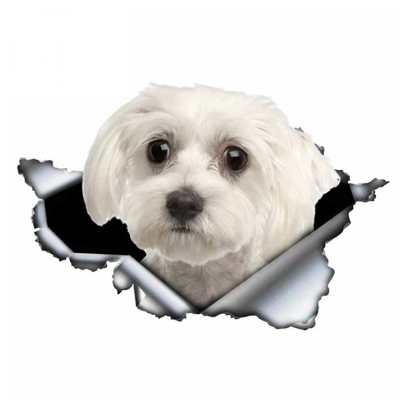 3D Self-กาวรูปลอกน่ารัก Maltese สุนัขสติกเกอร์รถกันน้ำ Decors กันชนด้านหลังหน้าต่างแล็ปท็อป