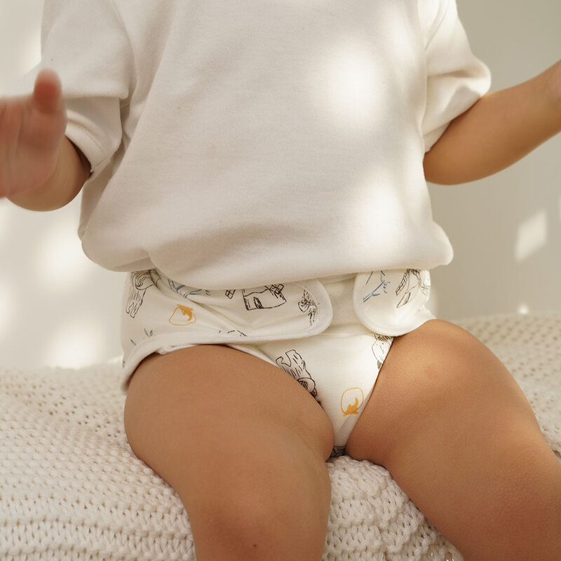 HappyFlute-pantalones de pañales de tela con pasta, lavables y reutilizables, Material de algodón de bambú, artículos para bebés