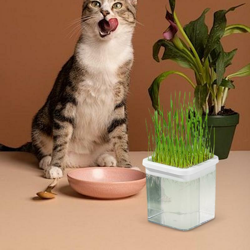 Bandeja de hierba para gatos sin suelo, maceta hidropónica para gatos, caja de hierba para gatos para el hogar, maceta para cultivo de hierba de trigo