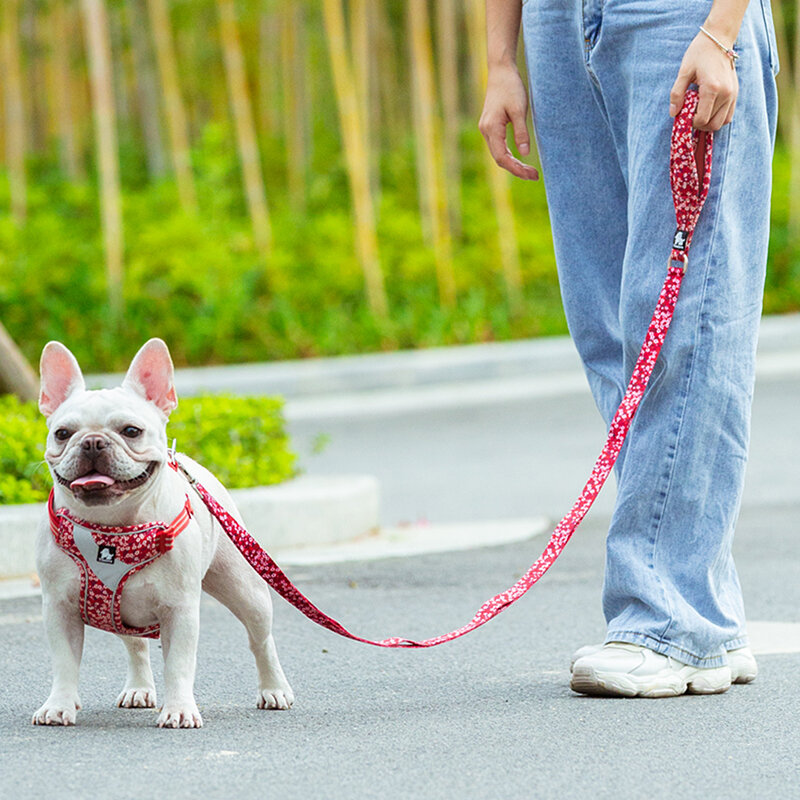 Truelove Bloemen Huisdier Aangelijnd Neopreen Handvat Zachte Comfortabele Gemakkelijk Controle Veilig Voor Kleine Medium Grote Walking Training