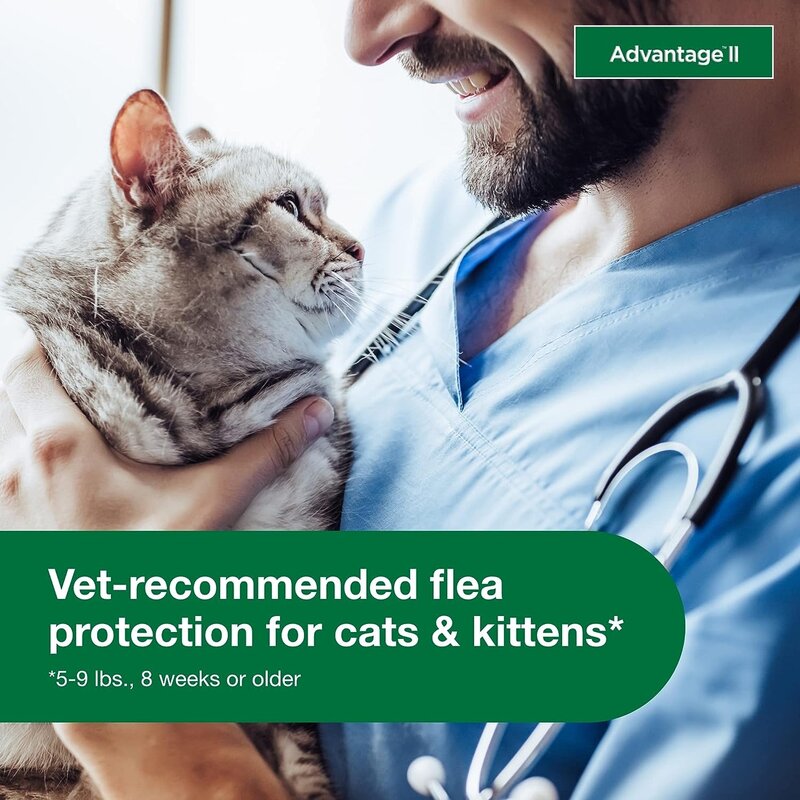 Perawatan & pencegahan kutu yang direkomendasikan dokter hewan kucing kecil | Kucing 5-9 lbs. | Persediaan 6 bulan