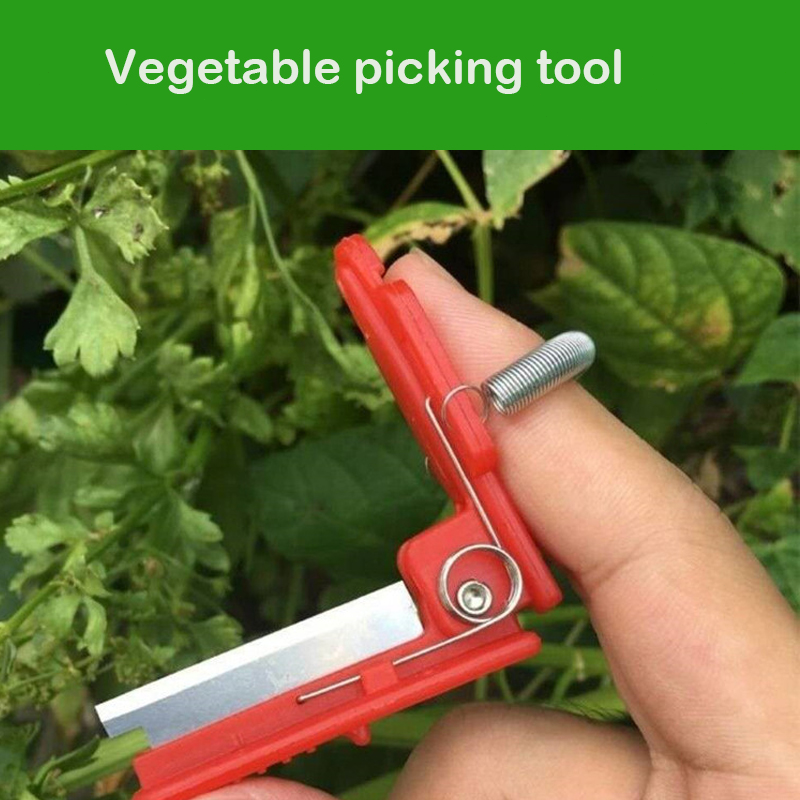 Couteau séparateur de légumes et de fruits, outil de cueillette de récolte de légumes, outils de jardinage pour verger de ferme, PINCEF