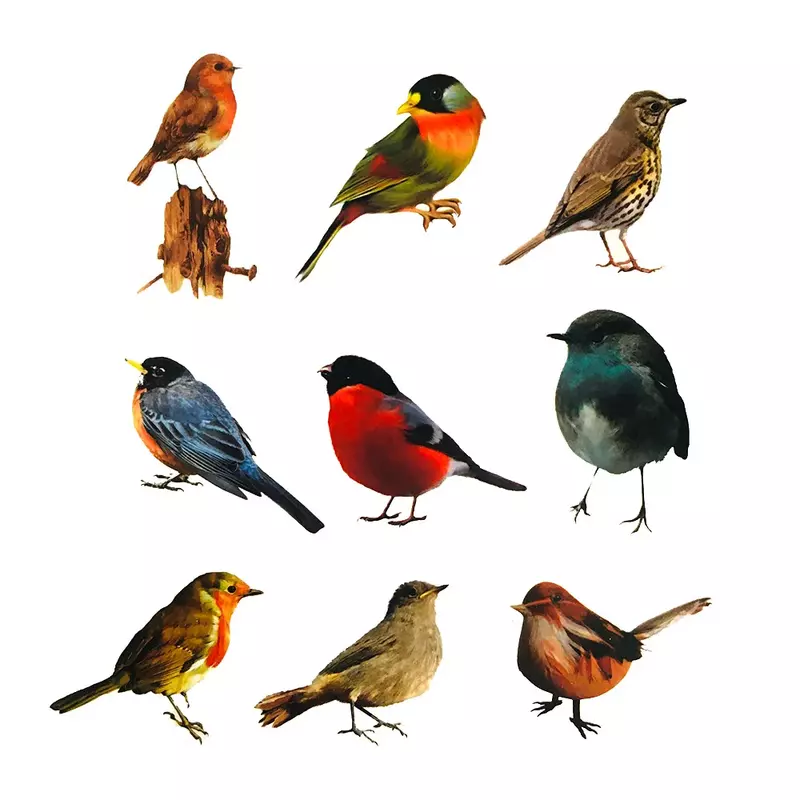 10/30/50PCS Realistic Color Robin Bird Cute Sticker For Toy Luggage Laptop IPad  DIY Journal Phone Case Window Sticker Wholesale
