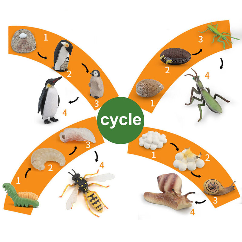 Hewan dan tanaman simulasi untuk pendidikan anak dini Model mainan anak-anak Tujuh Bintang kumbang kupu-kupu kura-kura