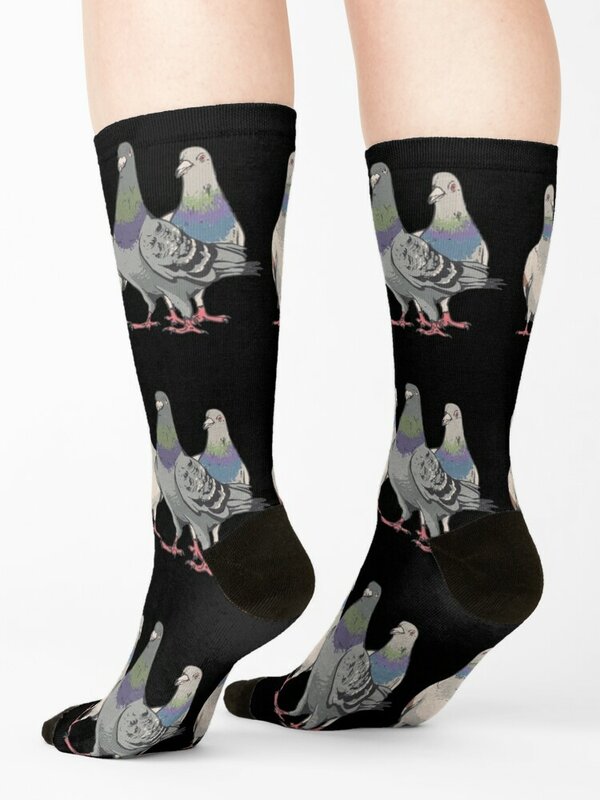 Chaussettes pour pigeons, pigeons, amateurs de pigeons, chaussures de créateurs pour garçons et enfants, chaussettes pour femmes
